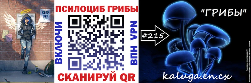 Галлюциногенные грибы MAGIC MUSHROOMS  где найти наркотики  Каменка 