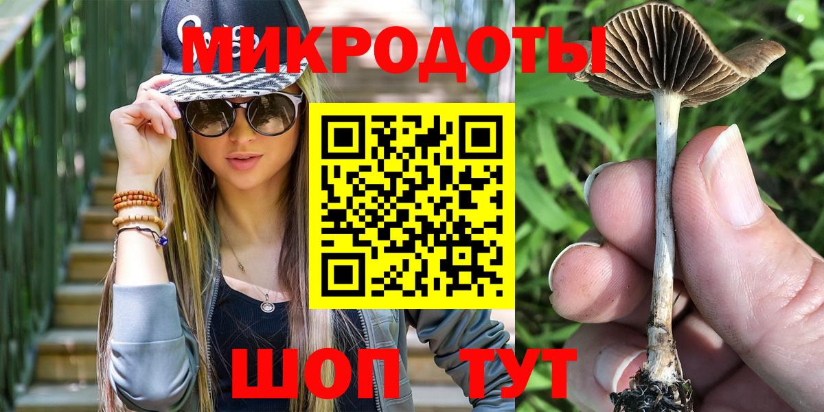Псилоцибиновые грибы MAGIC MUSHROOMS Каменка