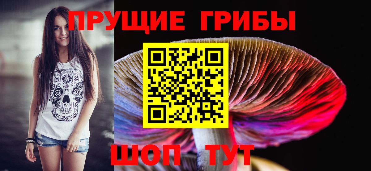 Каменка  Галлюциногенные грибы Cubensis  Вход с VPN 